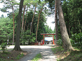 陣ヶ岡蜂神社
