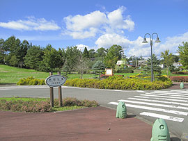 野菊公園