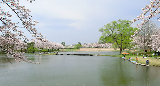 上田堤（高松の池）