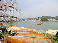上田堤（高松の池）